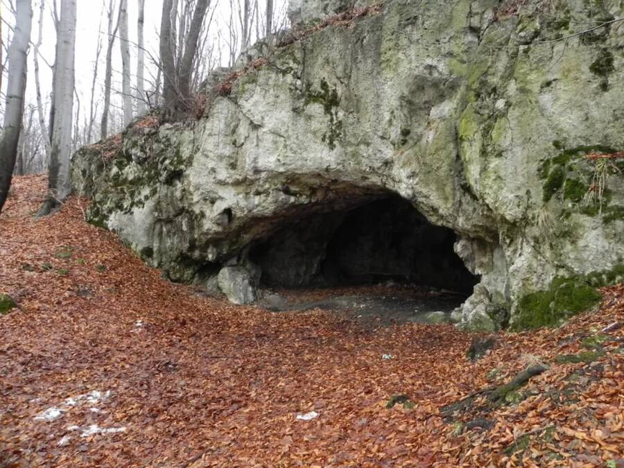 A foto mostra a entrada de uma caverna sob uma rocha. O chão é de terra repleto de folhas mortas.